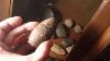 Awesome Finds Human Pottery Doll Mo Indian Artifacts 1