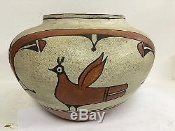 Antique Old Native American Indian Zia Pueblo Pottery Olla Bird Pot Reyes Pino