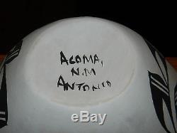 Awesome Polychrome Mary Antonio Garcia Hand Coiled Acoma Olla/free Shippin