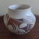 Beautiful Vintage Signed L. Navasie Hopi Polychrome Pottery Native American