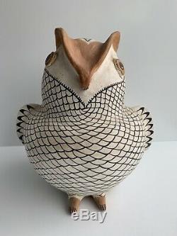 Monumental 12 Vintage Signed Eva Histia Acoma N. M. Pottery Owl Native American