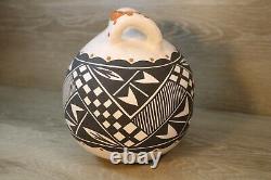 Native American Art Pottery Acoma Pueblo Hand Coiled Polychrome Water Jar
