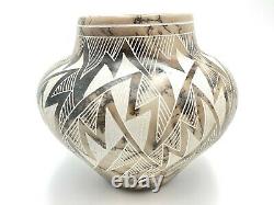 Native American Pottery Horse Hair Vase Navajo Handmade Acoma Yellowcorn