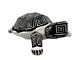 Native American Pottery Turtle Sculpture Handmade Acoma Indian Shirley Chino