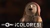 Nmpbs Colores Cochiti Pueblo Potter Helen Cordero