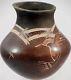 Santa Clara Indian Hummingbirds Vase Pottery by Dusty Naranjo