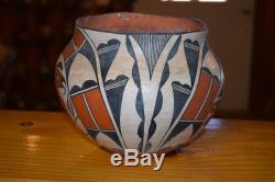 Superb MID 1900's Handcoiled Acoma Pueblo Parrot Olla! Free Shipping