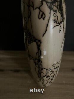 Vintage ACOMA Native American Pottery Horse Hair Vase 15